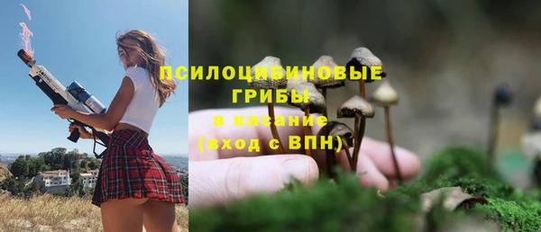 каннабис Инта
