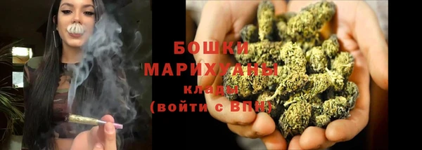 каннабис Инта