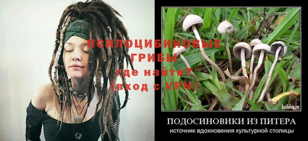 каннабис Инта