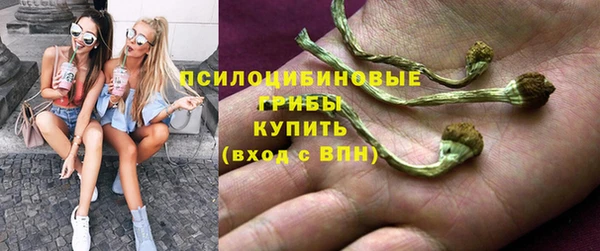 a pvp Инсар