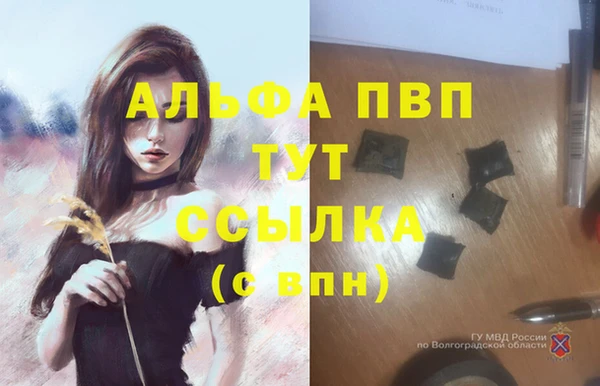 a pvp Инсар