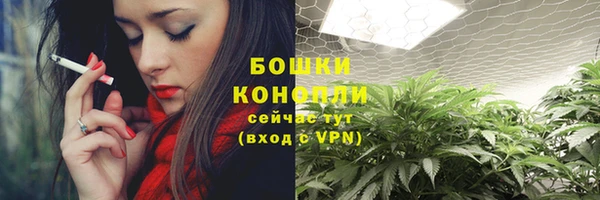 a pvp Инсар