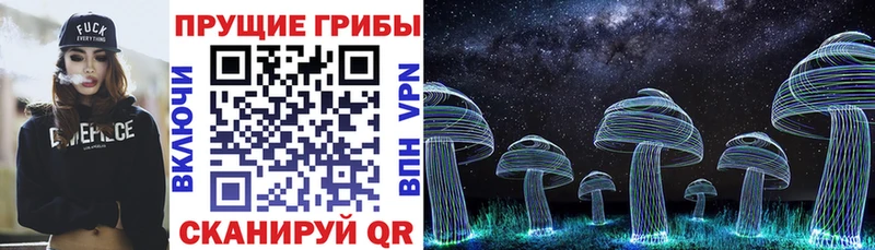 Псилоцибиновые грибы мицелий  закладка  Иланский 